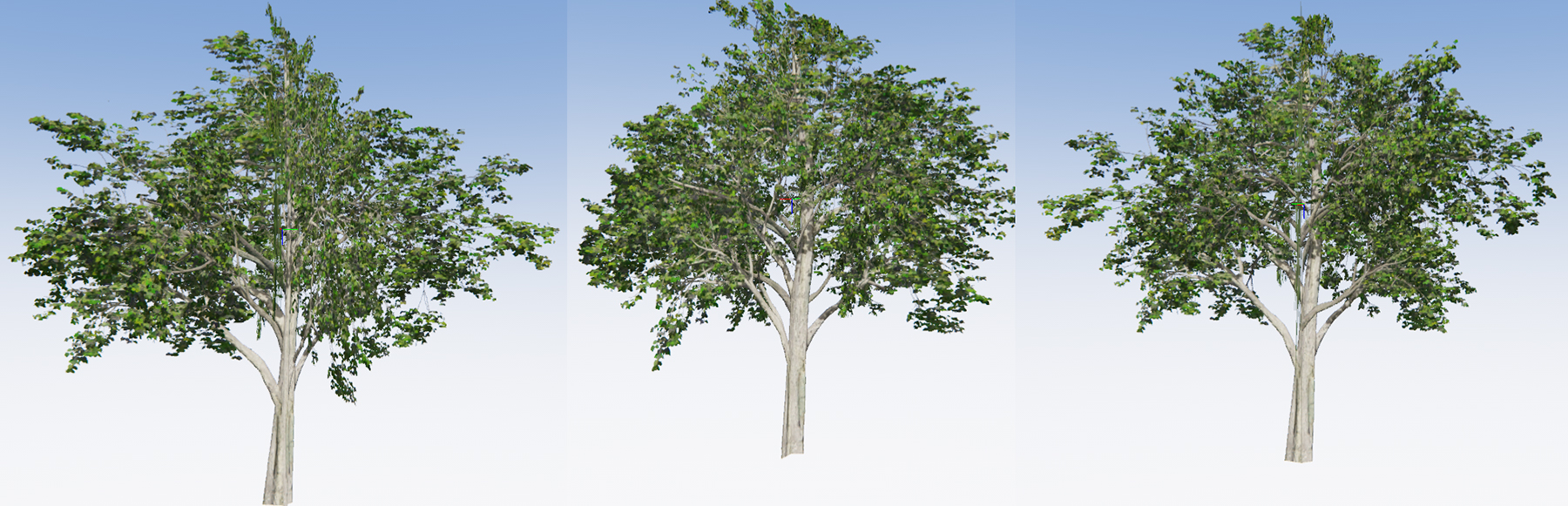 LRP trees test.jpg
