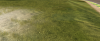 jacarepagua6.png