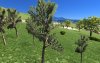 Screenshot_toyota_yaris_gr_rally_1_can padro_16-0-125-18-49-32.jpg