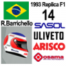 1993 Sasol Jordan #14